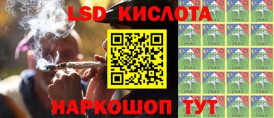 шишки Сланцы