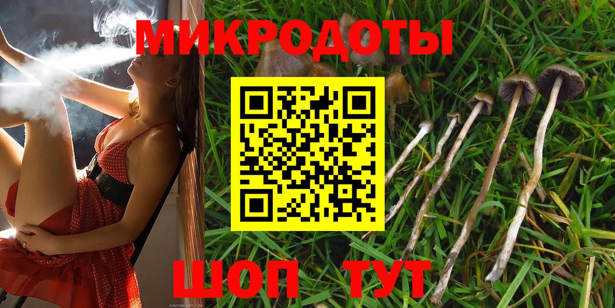 Канабис Ставрополь