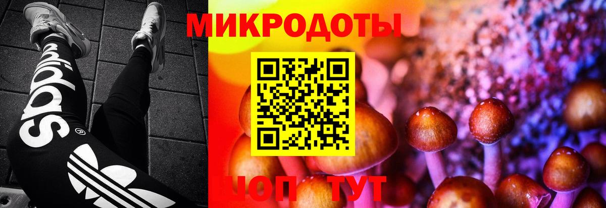 Псилоцибиновые грибы мицелий  как найти закладки  Псилоцибиновые грибы MAGIC MUSHROOMS  Ставрополь  Вход с VPN 