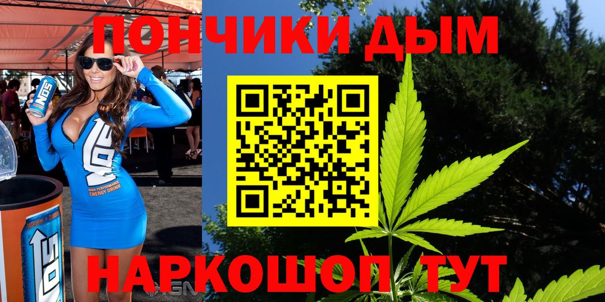 Каннабис сатива Ставрополь